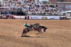 2023-06-california-rodeo-salinas_04.jpg