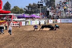 2023-06-california-rodeo-salinas_06.jpg