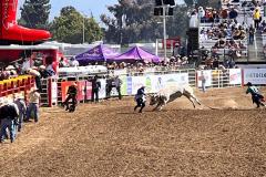 2023-06-california-rodeo-salinas_12.jpg