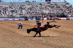 2023-06-california-rodeo-salinas_18.jpg