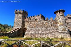 2023-09-castello-di-amorosa_16.jpg