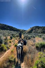 2024-06-hiking-with-pack-goats_03.jpg