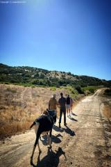 2024-06-hiking-with-pack-goats_09.jpg