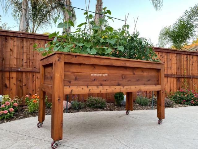 3x6_raised_cedar_planter_01_1024x768.jpg